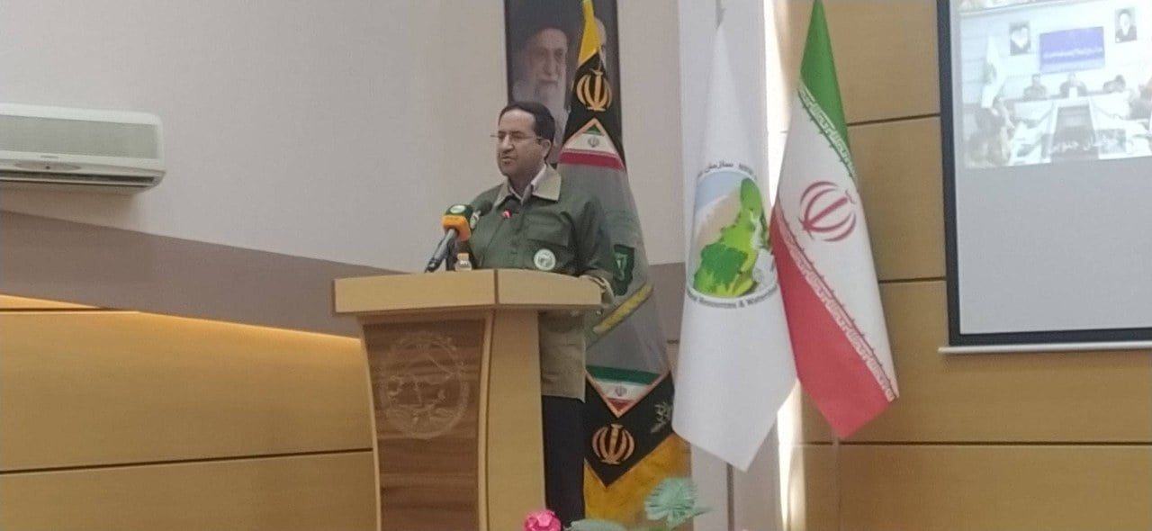 افلاطونی: جنگلبان را تنها نمیگذاریم