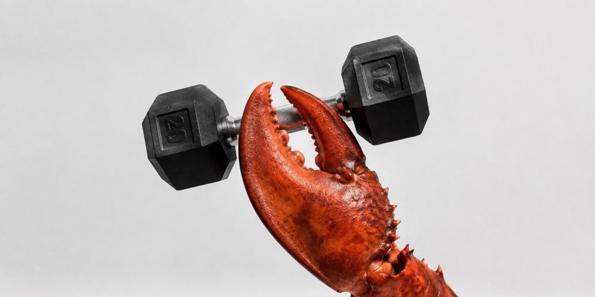 ایجنت هوش مصنوعیOpenClaw سیستم رزرو باشگاه را هک کرد