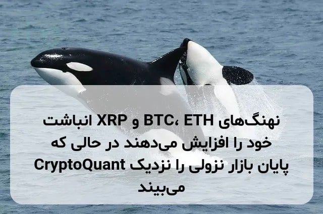 نهنگهای BTC، ETH و XRP انباشت خود را افزایش میدهند در حالی که CryptoQuant پایان بازار نزولی را نزدیک میبیند