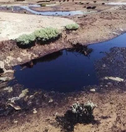 روز ۱۶۶ جنگ | هواپیمای سلطنتی امارات در تهران