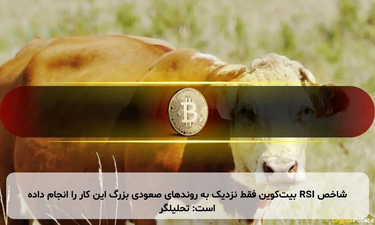 شاخص RSI بیت‌کوین فقط نزدیک به روندهای صعودی بزرگ این کار را انجام داده است: تحلیلگر