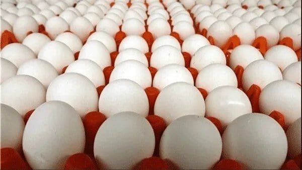 شوک دوباره قیمتی به سفره مردم!