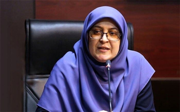 مهاجرانی: کارمندان دولت در جنگهای اخیر ایثار کردند