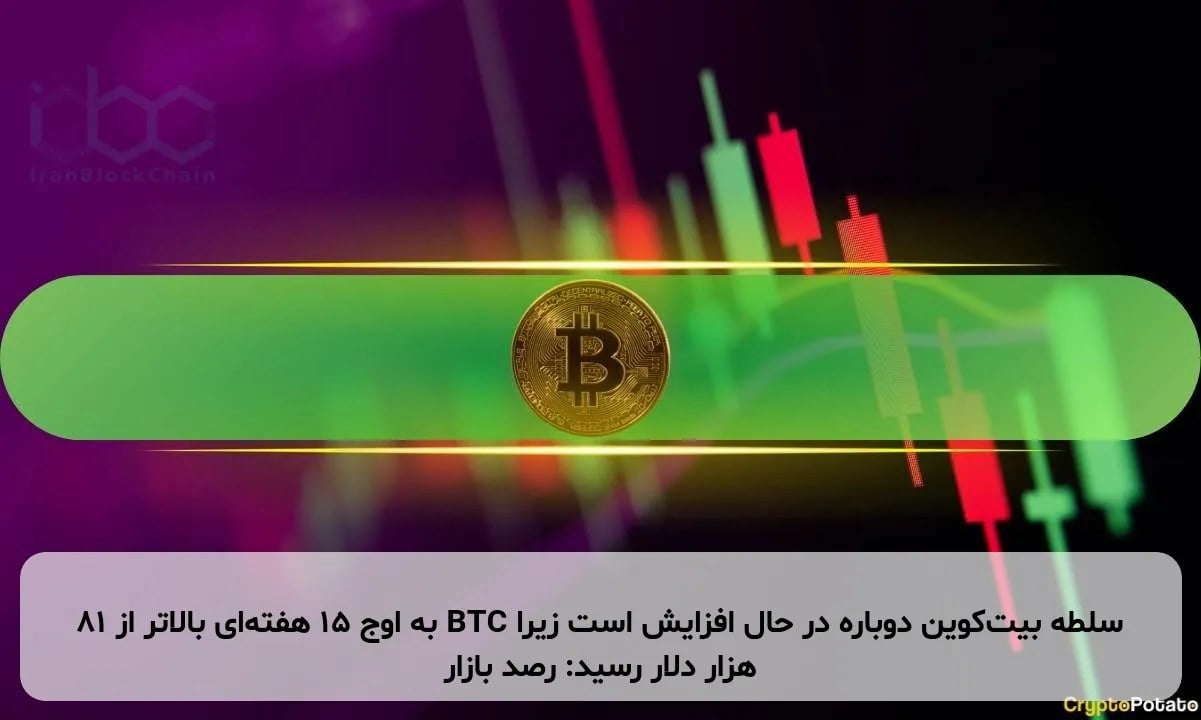 سلطه بیت‌کوین دوباره در حال افزایش است زیرا BTC به اوج ۱۵ هفته‌ای بالاتر از ۸۱ هزار دلار رسید: رصد بازار