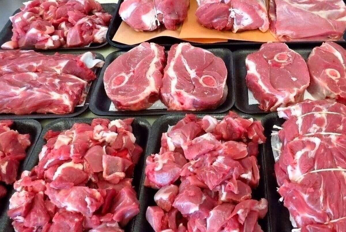 افزایش جمعیت دام زنده/گوشت قرمز ارزان میشود؟
