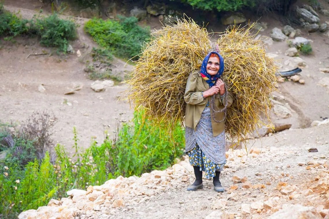 خبر مهم دولت برای روستاییان دهکهای ۶ تا ۱۰ / حق بیمه روستاییان اعلام شد