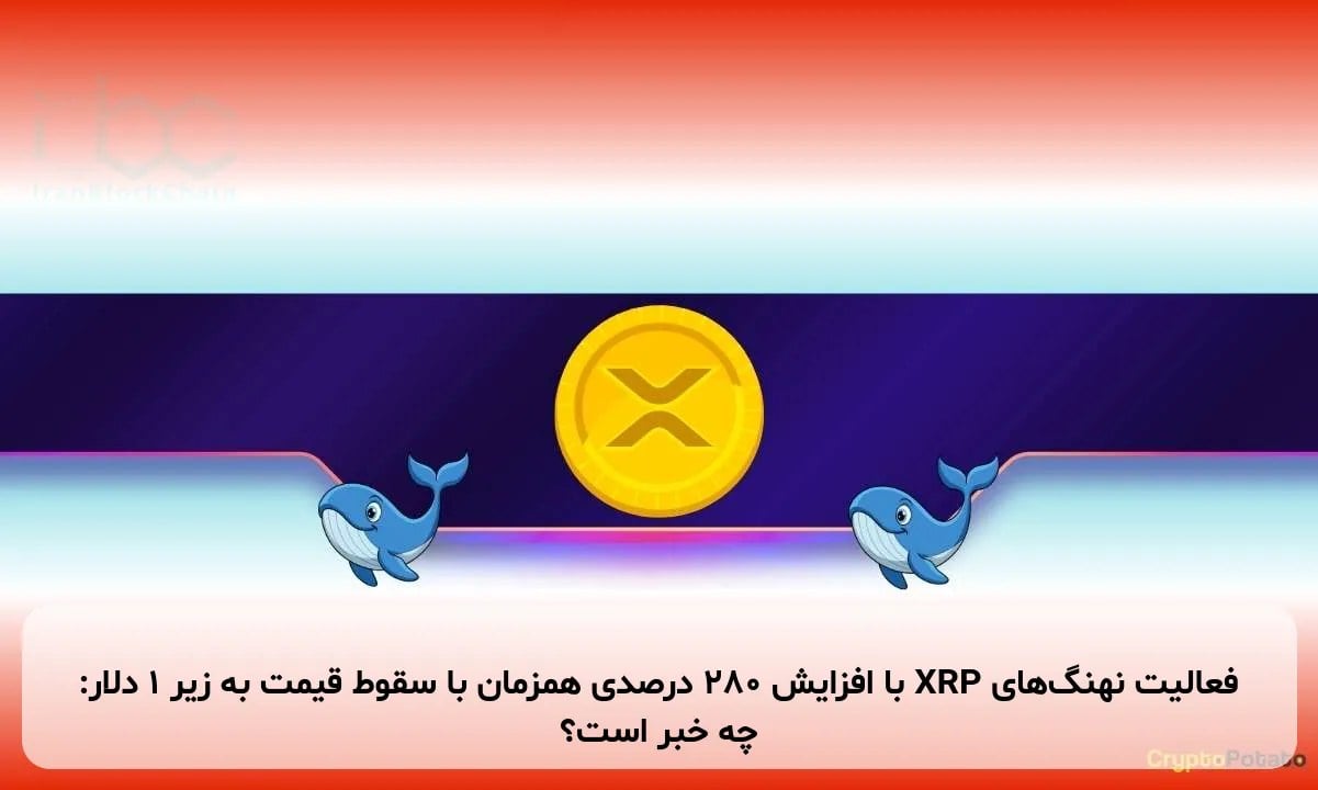 فعالیت نهنگهای XRP با افزایش ۲۸۰ درصدی همزمان با سقوط قیمت به زیر ۱ دلار: چه خبر است؟