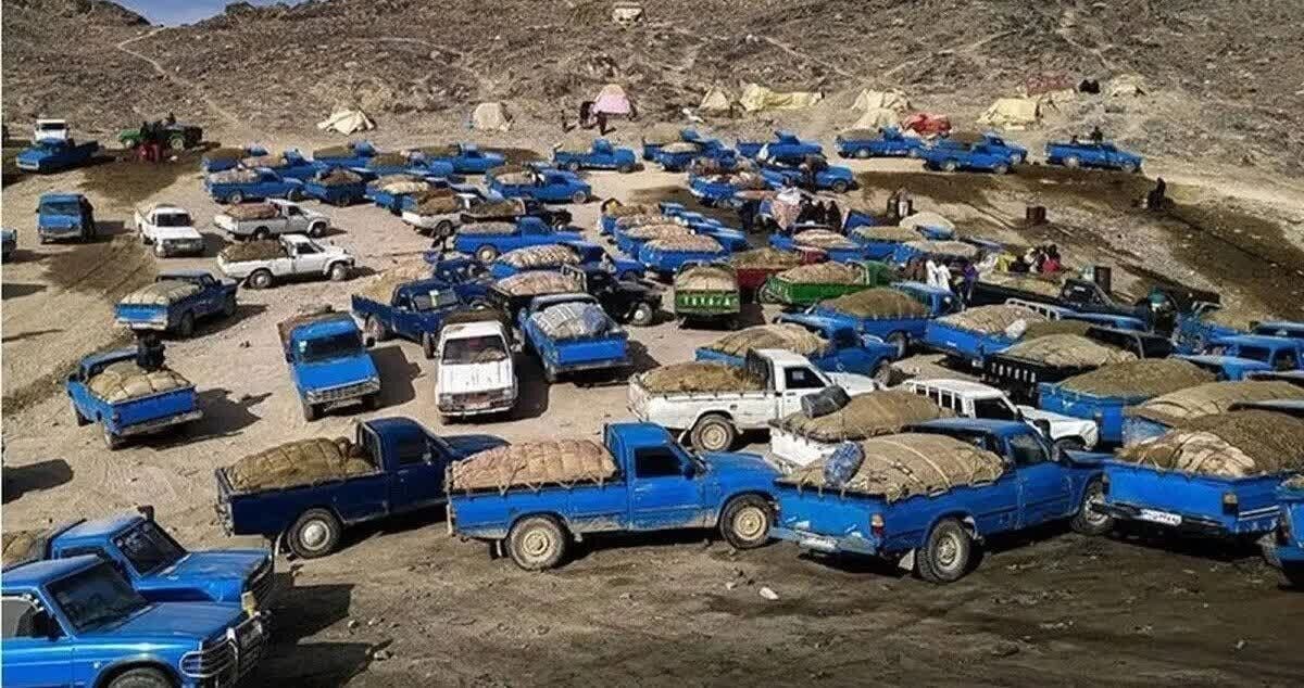 مدخلی بر پرونده قاچاق سوخت در جنوب شرق ایران