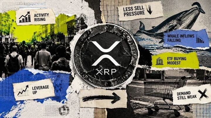 والاستریت بیسروصدا در حال خرید ETFهای ریپل؛ ردپای غولهای مالی در بازار XRP