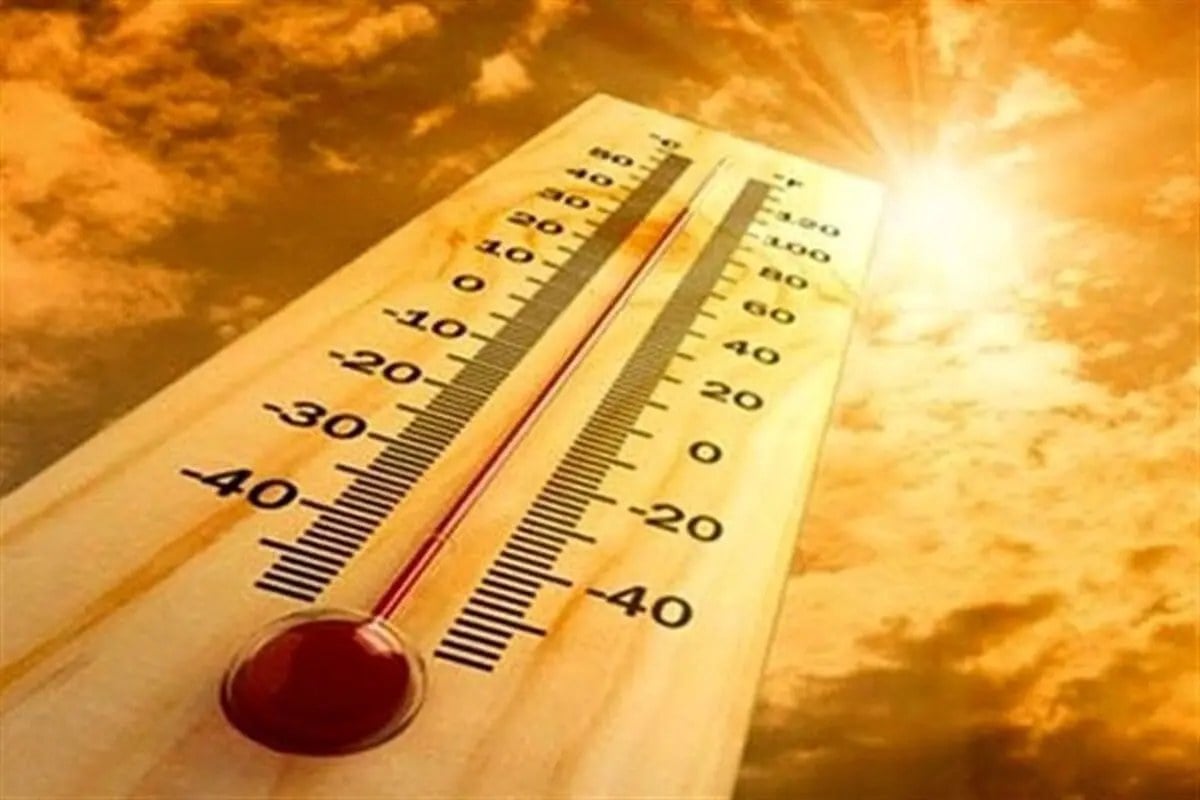 مرگ و میر ناشی از گرما در آلمان رکورد زد