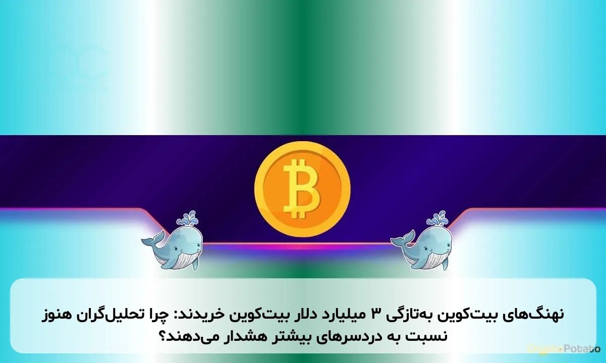 نهنگ‌های بیت‌کوین به‌تازگی ۳ میلیارد دلار بیت‌کوین خریدند: چرا تحلیل‌گران هنوز نسبت به دردسرهای بیشتر هشدار می‌دهند؟