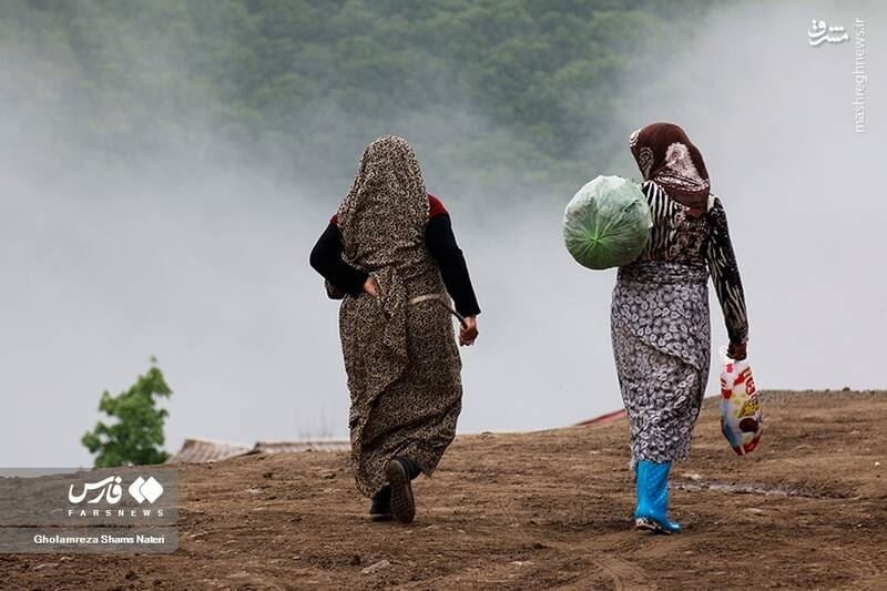 بیمه زنان روستایی، مطالبه مهم زنان استان زنجان