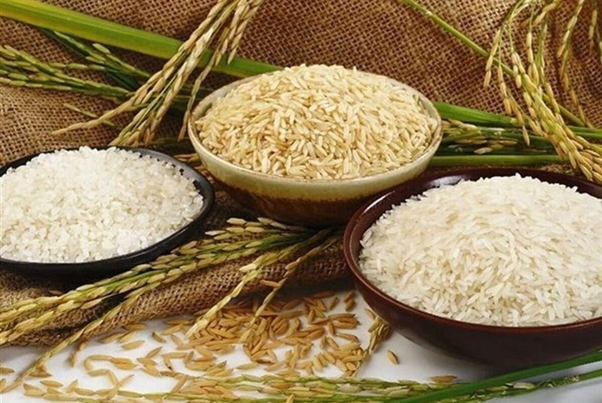 اعلام قیمت جدید برنج هندی/عرضه برنج خارجی با نرخهای مختلف