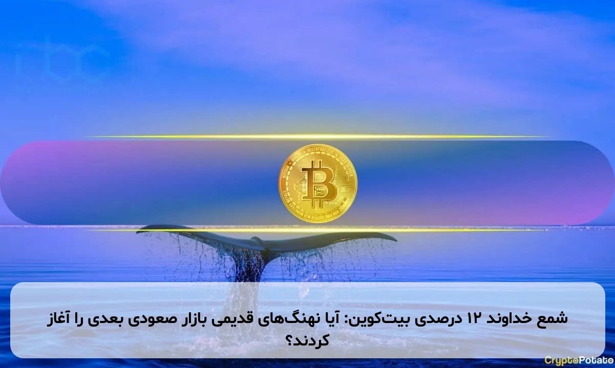 شمع خداوند ۱۲ درصدی بیتکوین: آیا نهنگهای قدیمی بازار صعودی بعدی را آغاز کردند؟