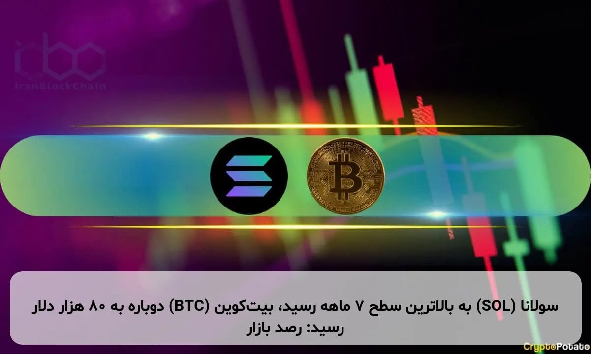سولانا (SOL) به بالاترین سطح ۷ ماهه رسید، بیت‌کوین (BTC) دوباره به ۸۰ هزار دلار رسید: رصد بازار