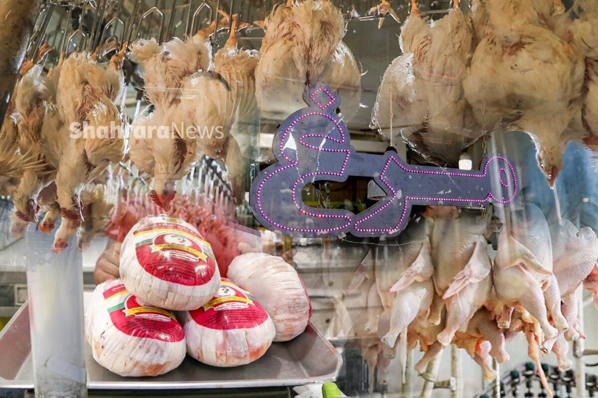 قیمت امروز مرغ، تخممرغ و گوشت در مشهد (۲۷ مرداد ۱۴۰۵)