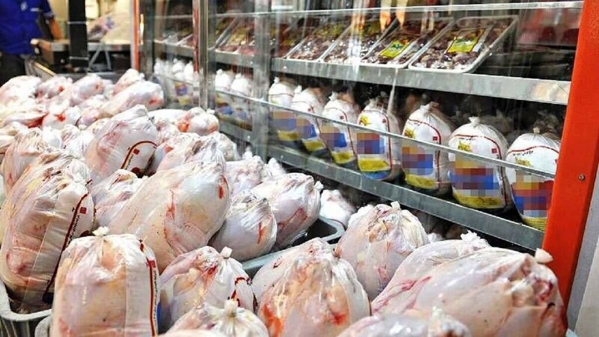 قیمت تمام شده هر کیلو مرغ چقدر است؟ | صادرات مرغ به زودی آغاز می‌شود