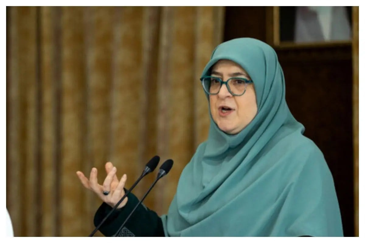 سخنگوی دولت: تعامل رئیسجمهور با رهبری، مستمر بوده
