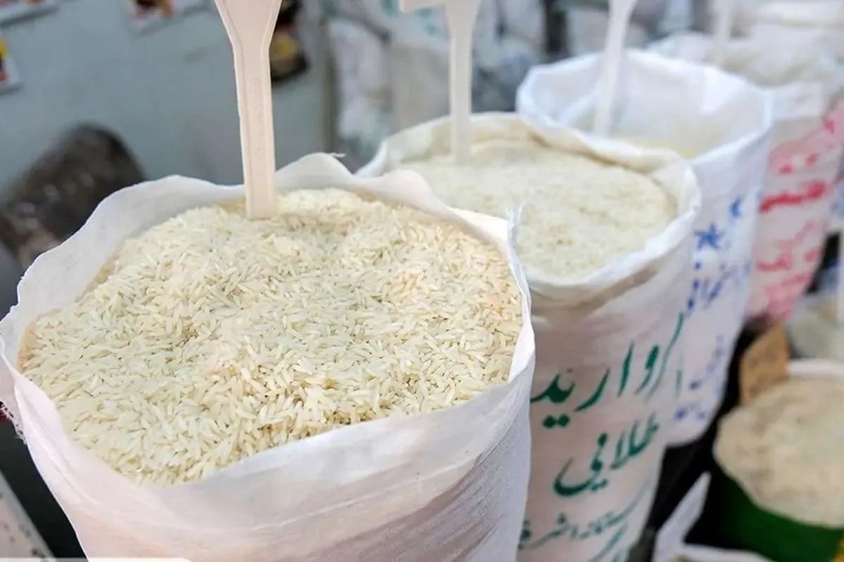 اتحادیه بنکداران مواد غذایی: برنجهای موسوم به آمریکایی به صورت قاچاق و از مسیر عراق وارد ایران میشوند/ احتمال دارد این کالا در برخی مناطق مرزی وجود داشته باشد، اما تاکنون در بازار تهران مشاهده نشده/ این برنجها در سه مدل عرضه میشوند و قیمت آنها از حدود کیلویی ۱۲۰ هزار تومان آغاز میشود و تا ۲۴۰ هزار تومان هم میرسد