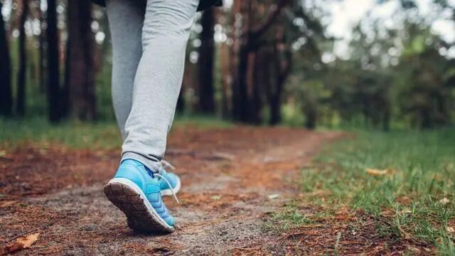 کدام شهر جهان برای زندگی بدون خودرو بهتر است؟