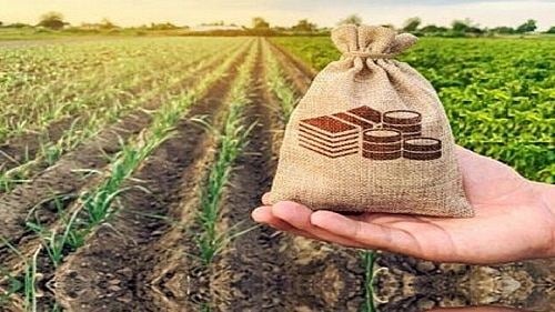 اجرای بیمه پایه فراگیر برای ۱۷ کالای اساسی از مهر آغاز می شود