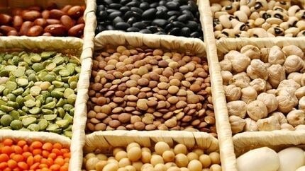 تولید حبوبات بیشتر شد، احتمال افزایش قیمت وجود دارد