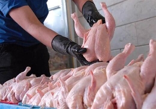 بازار مرغ در آرامش به سر می برد