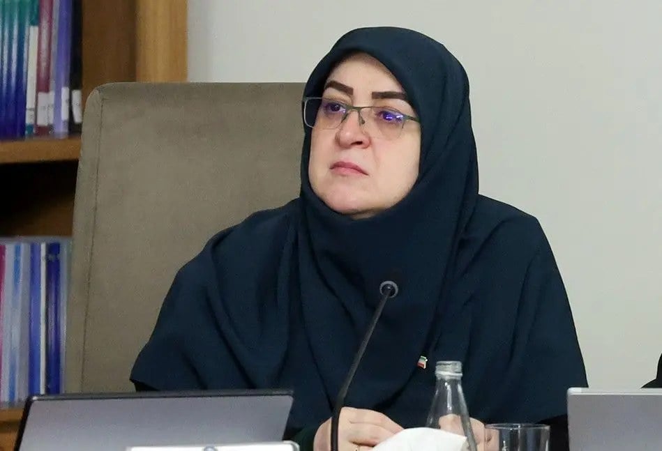توضیح مهاجرانی در مورد قیمت ۸۰ هزار تومانی بنزین