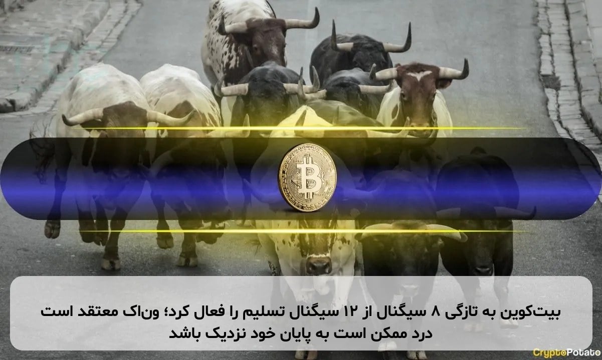 بیتکوین به تازگی ۸ سیگنال از ۱۲ سیگنال تسلیم را فعال کرد؛ وناک معتقد است درد ممکن است به پایان خود نزدیک باشد