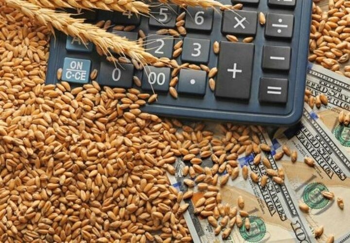 افزایش قیمت گندم در پی خشکسالی و تنش در دریای سیاه| بازار در آستانه موج جدید نوسان قیمت!