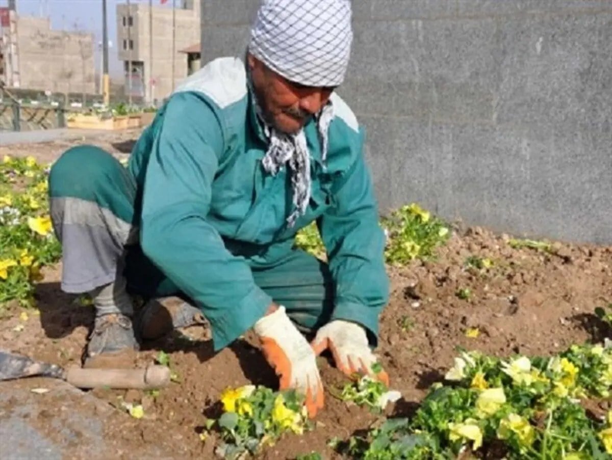 یک طرح نصفهنیمه را به جای «ساماندهی» قالب کردند/ از پرداخت مستقیم در شهرداری بناب خبری نیست