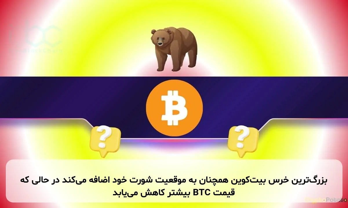 بزرگترین خرس بیتکوین همچنان به موقعیت شورت خود اضافه میکند در حالی که قیمت BTC بیشتر کاهش مییابد
