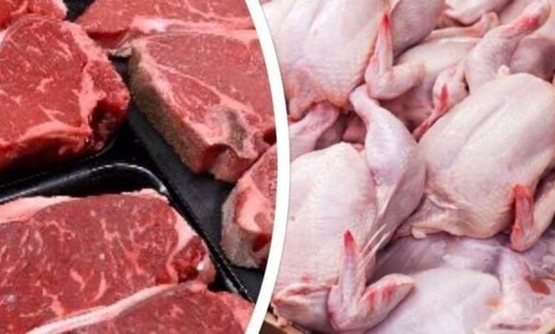 بررسیهای میدانی بازار محصولات پروتئینی