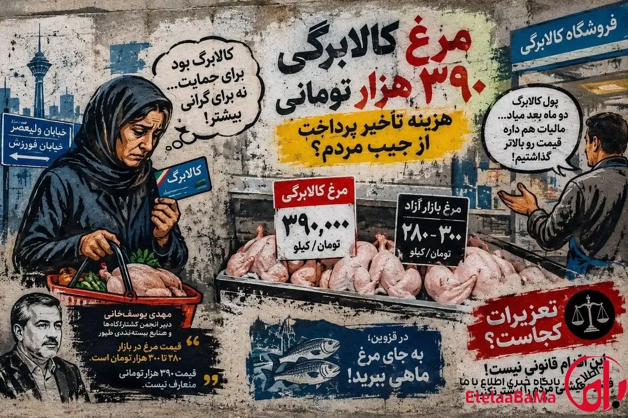 مرغ کالابرگی کیلویی ۳۹۰ هزار تومان؛ وقتی قیمت حمایت معیشتی از بازار هم بالاتر میرود