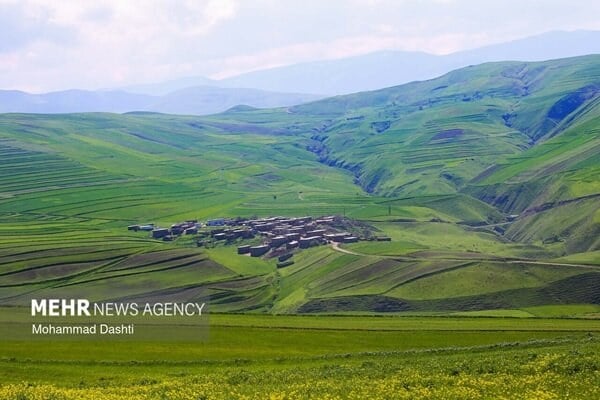 مشکل شمال کشور کمبود زمین نیست؛ الگوی ساختوساز باید تغییر کند