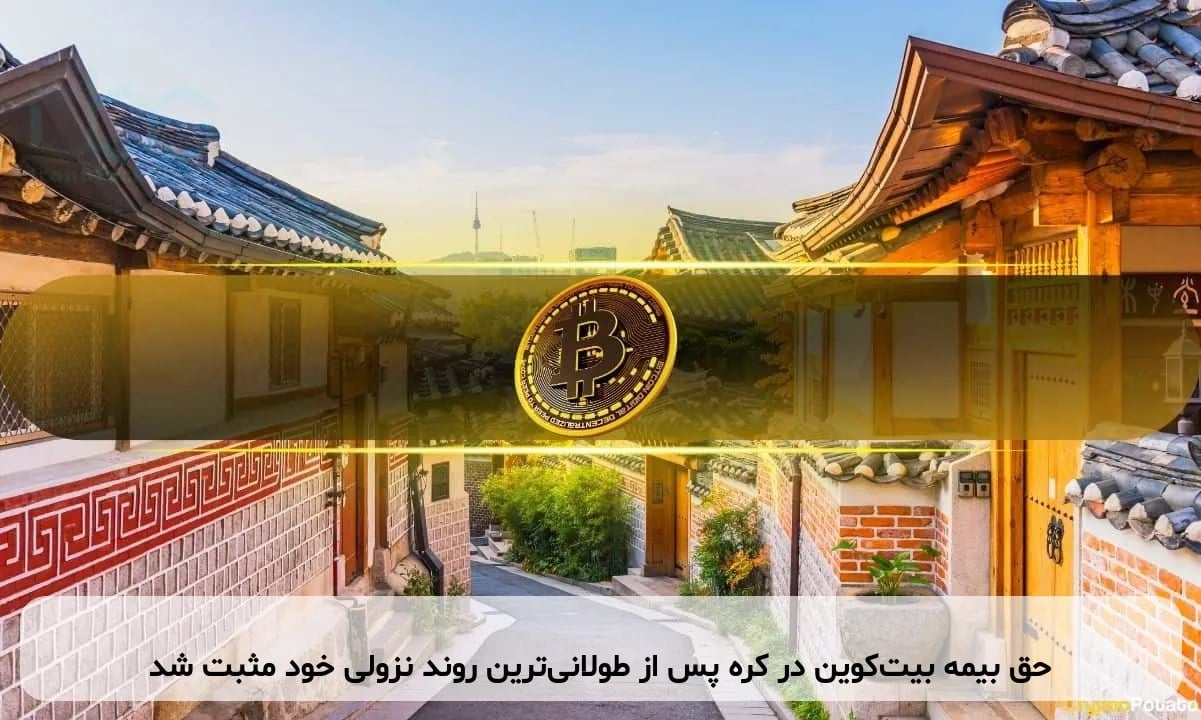 حق بیمه بیتکوین در کره پس از طولانیترین روند نزولی خود مثبت شد