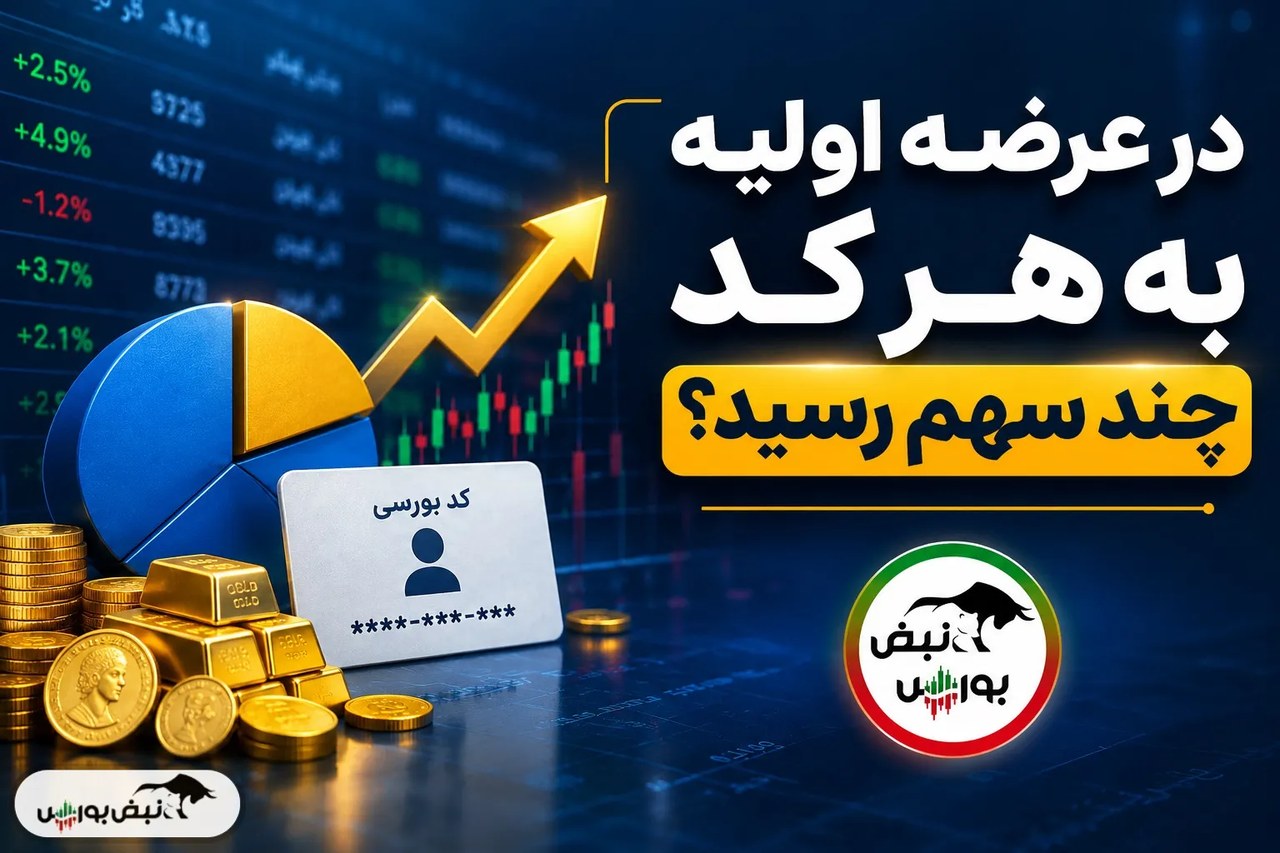 در عرضه اولیه شکیمیا به هر کد چند سهم رسید؟