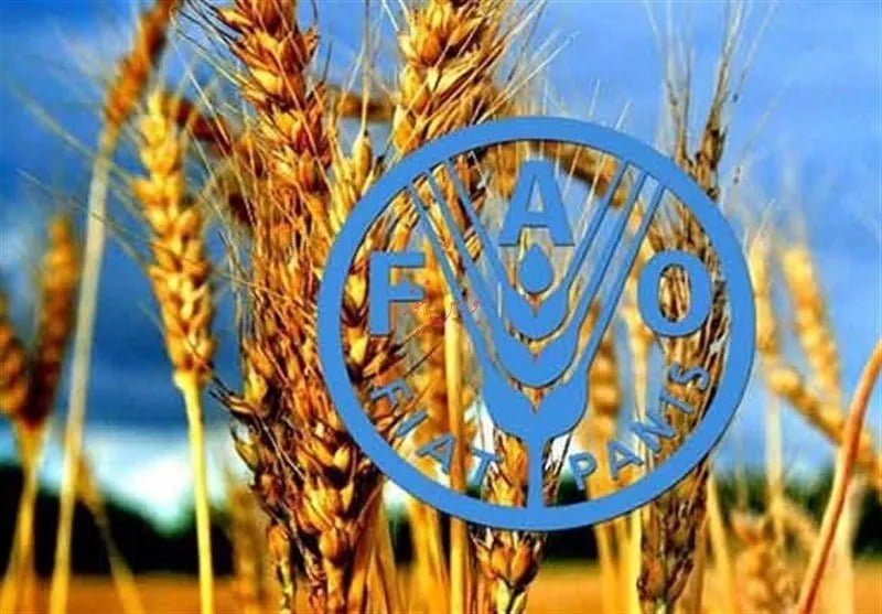 افزایش ۲ درصدی قیمت مواد غذایی در دنیا