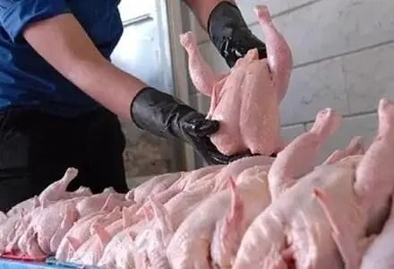 قیمت مرغ زنده چقدر شد؟