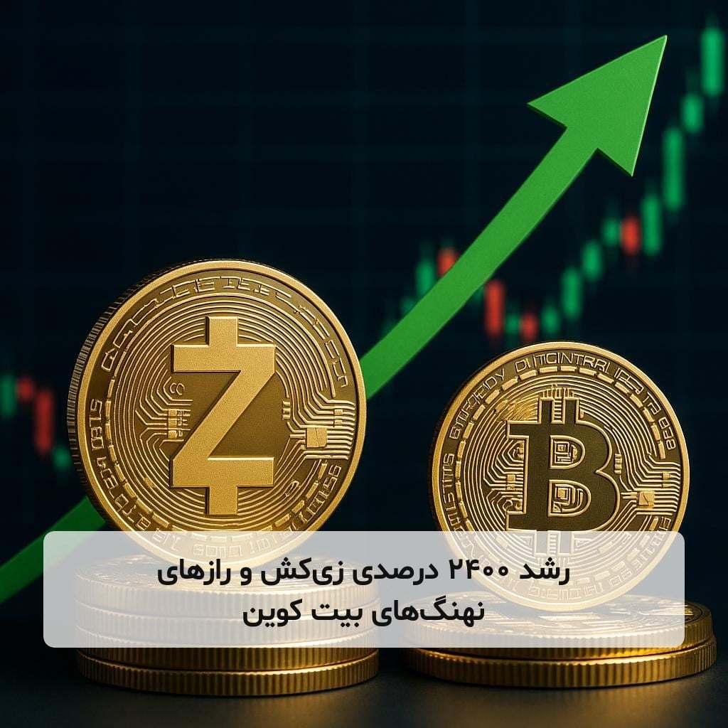 رشد ۲۴۰۰ درصدی زیکش و رازهای نهنگهای بیت کوین