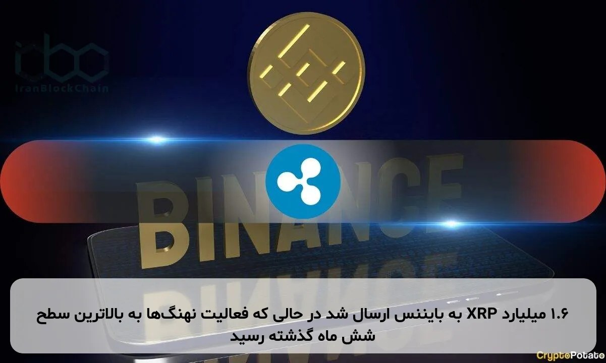 ۱.۶ میلیارد XRP به بایننس ارسال شد در حالی که فعالیت نهنگها به بالاترین سطح شش ماه گذشته رسید