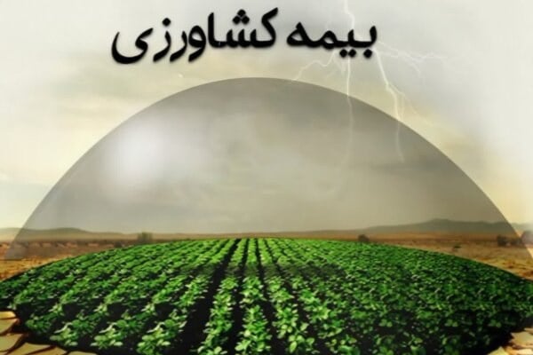 پوشش بیمهای اراضی کشاورزی خوزستان طی ۵ سال بیش از دو برابر شد