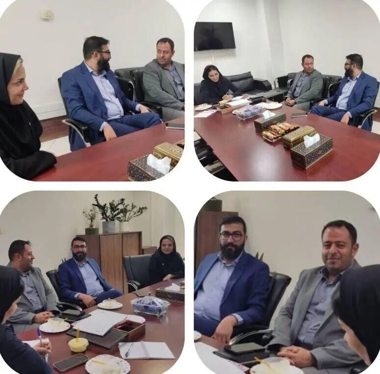 بررسی چالشهای وصول مطالبات در نشست بیمه دی و برق تهران بزرگ