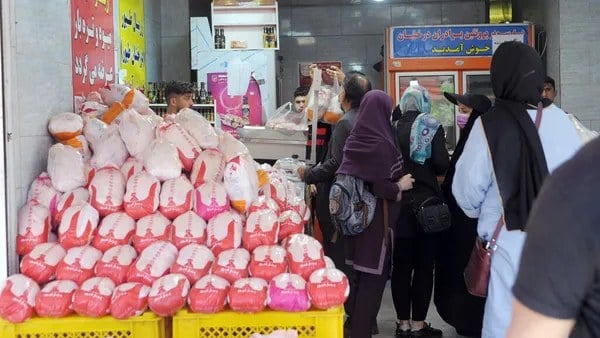 یک عقبنشینی مهم در قیمتها/ مرغ ارزان شد