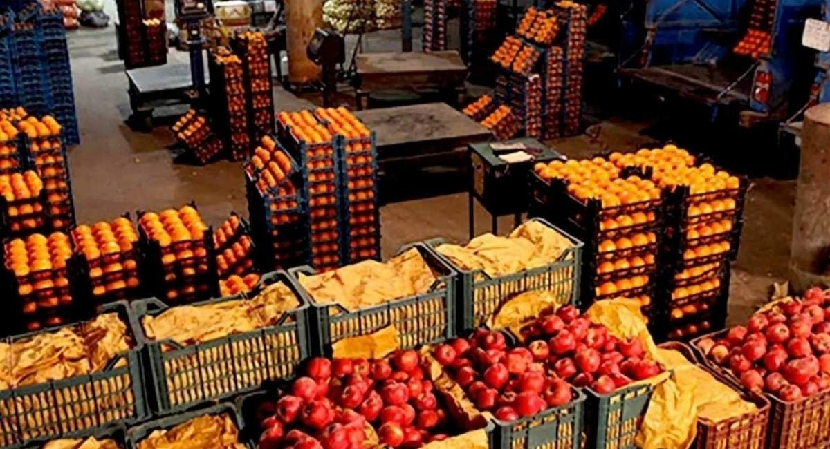 تولید میوههای پاییز مطلوب است