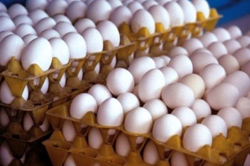 تخممرغ گرانتر میشود؟ / قیمت پیشنهادی اتحادیه برای شهریور اعلام شد