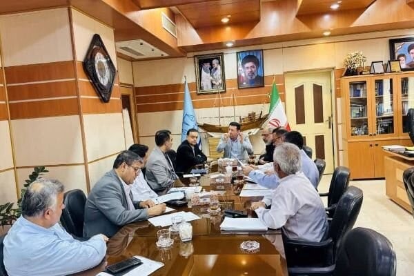 مهرانگیز: عوارض خودرو به نفع شهرداریهای استان وصول می شود