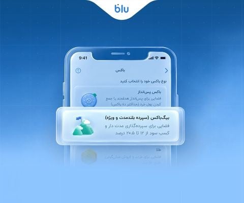 بیگباکس، جعبهای بزرگ برای سود ماهانه