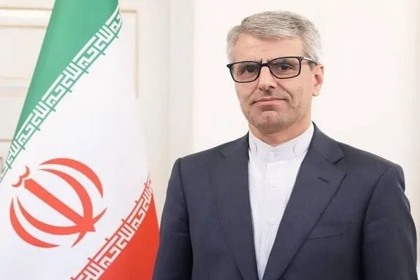 بقائی: ایران برای امنیت هرمز تصمیم میگیرد/ آمریکا مسئول افزایش قیمت سوخت است