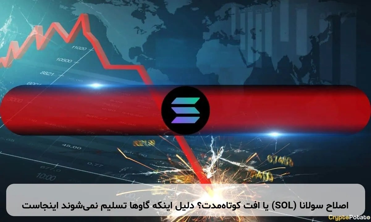 اصلاح سولانا (SOL) یا افت کوتاه مدت؟ دلیل اینکه گاوها تسلیم نمی‌شوند اینجاست